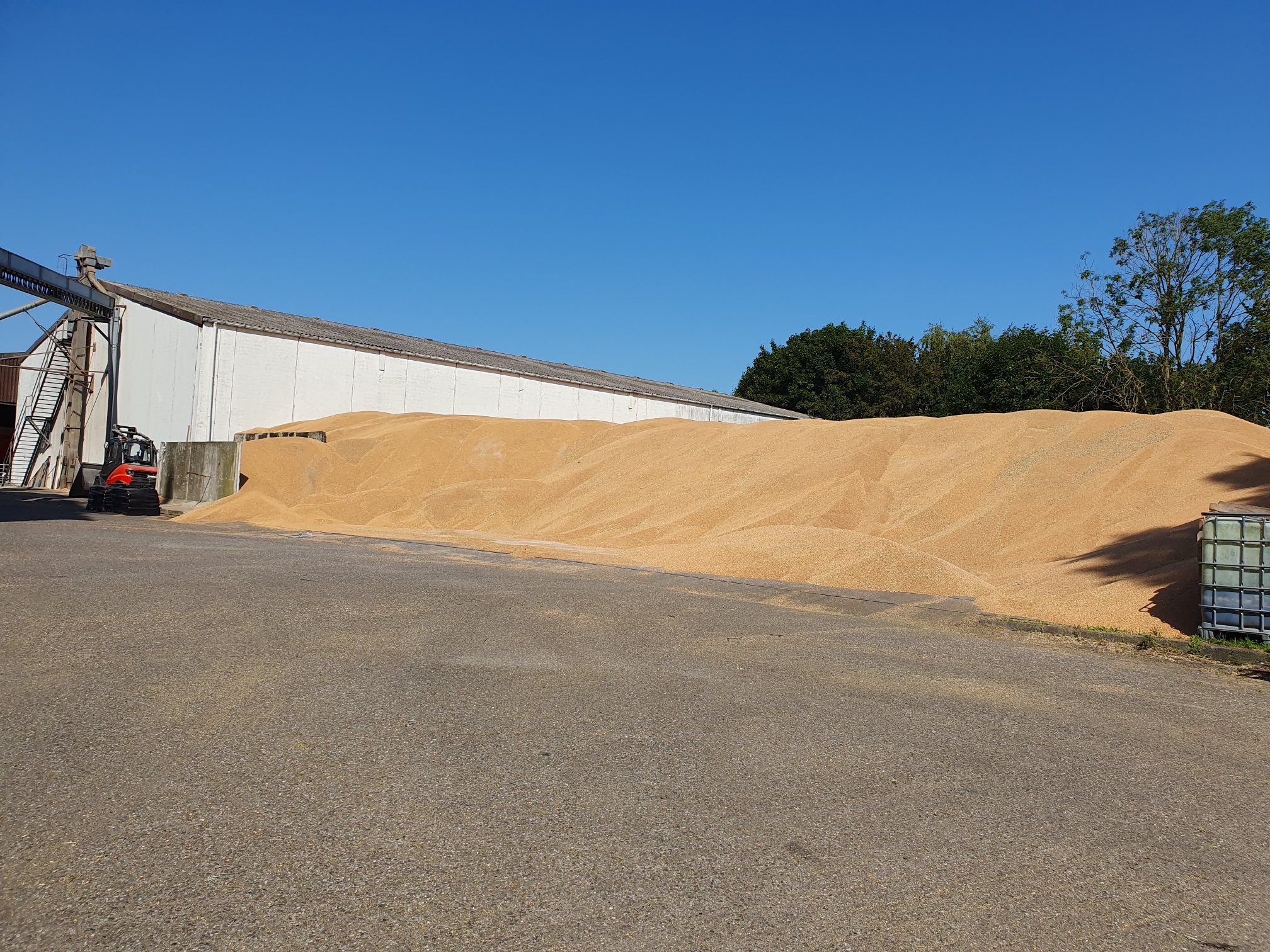 newsimages/151-Ernte 2025 Berg Marienhafe.jpg